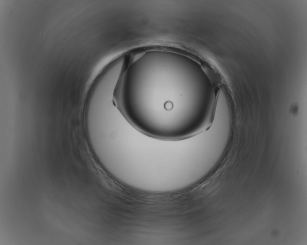 X0000090871320200708241912