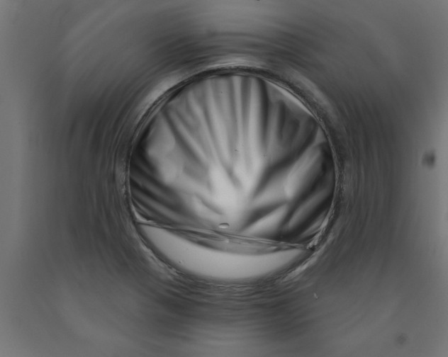 X0000090871321200708241912