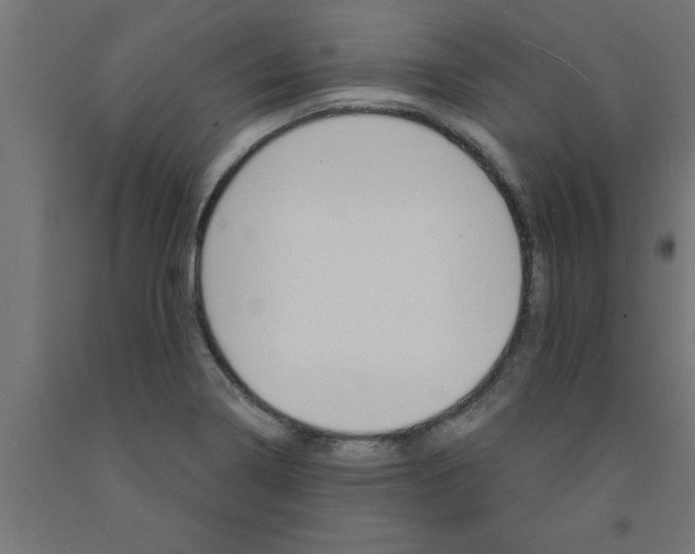 X0000090871322200708241912