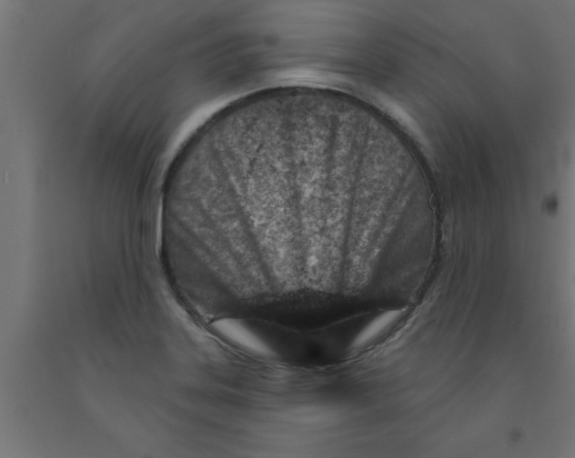 X0000090871323200708241912