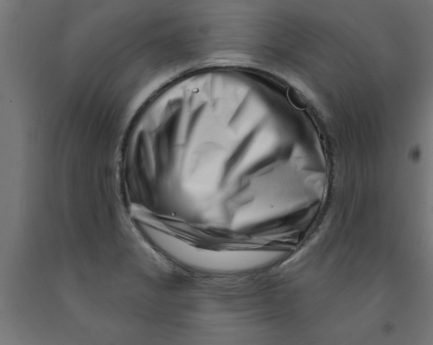 X0000090871325200708241912