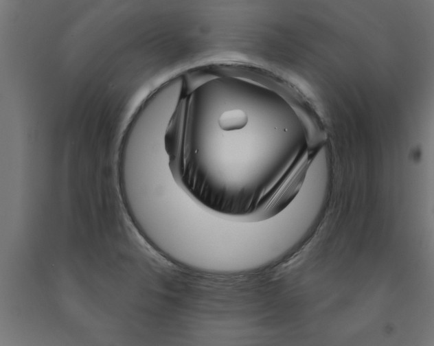 X0000090871326200708241912