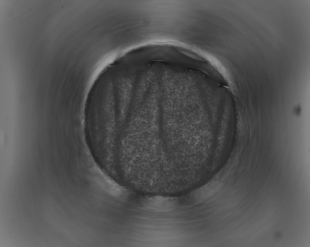 X0000090871327200708241912