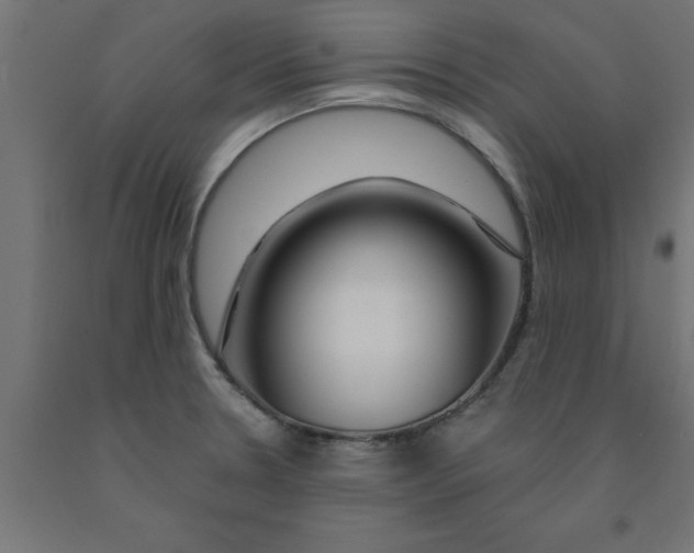 X0000090871330200708241912