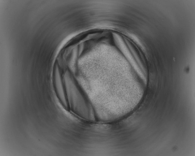 X0000090871331200708241912