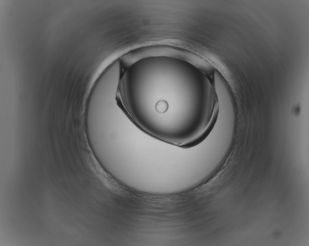 X0000090871332200708241912