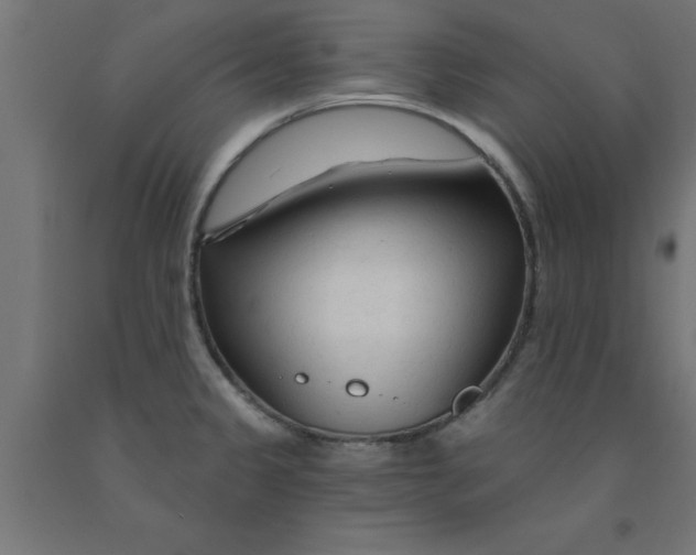 X0000090871333200708241912