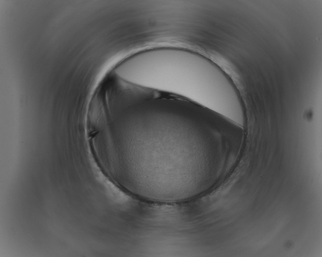 X0000090871334200708241912