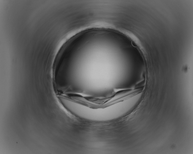 X0000090871335200708241912