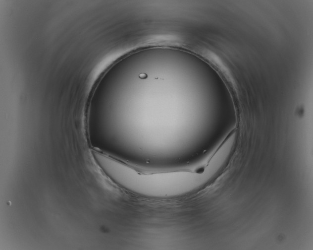 X0000090871336200708241912