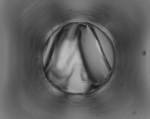 X0000090871337200708241912