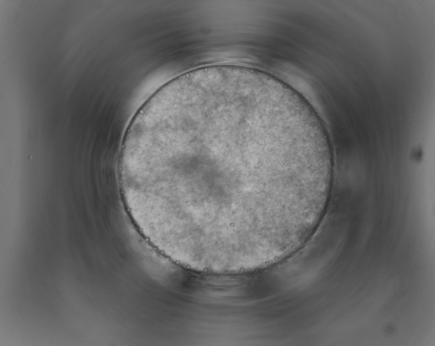 X0000090871338200708241912