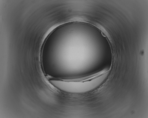 X0000090871339200708241912