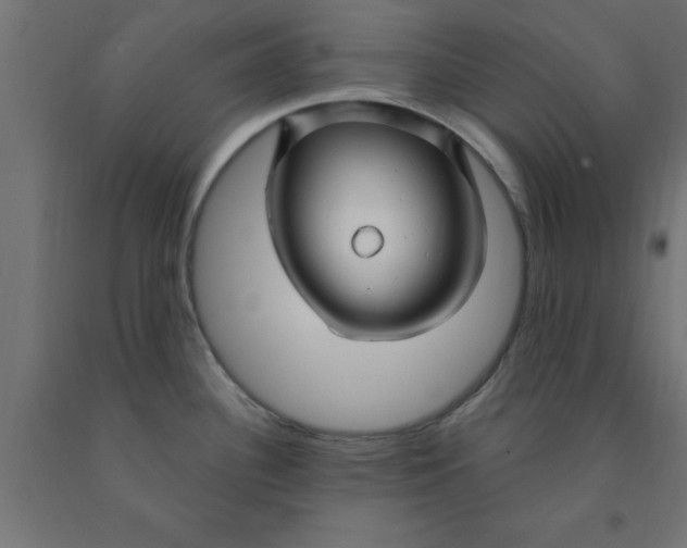 X0000090871340200708241912