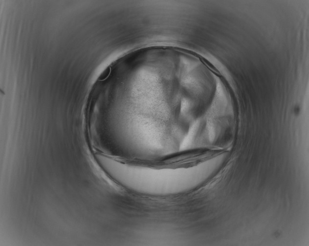 X0000090871341200708241912