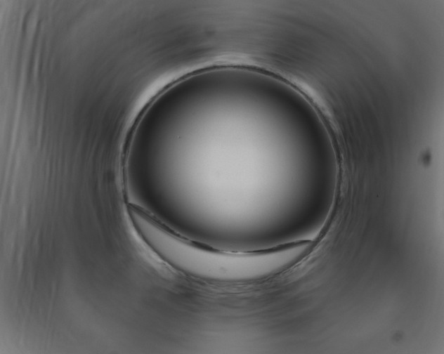 X0000090871342200708241912