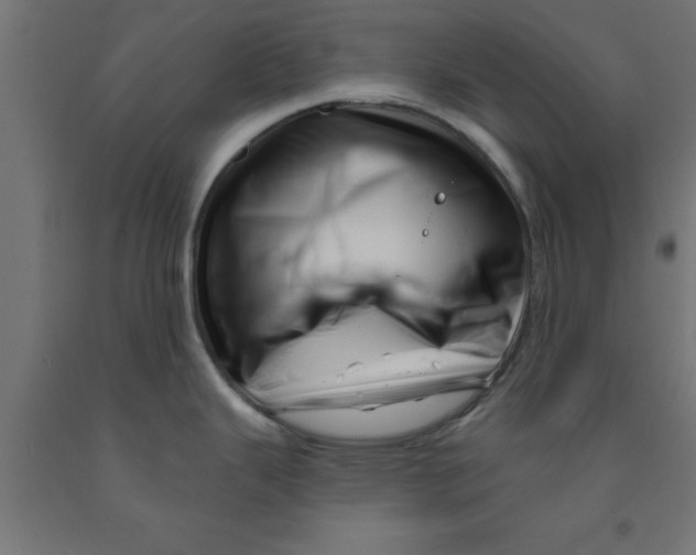 X0000090871343200708241912