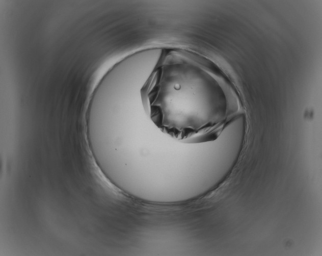 X0000090871344200708241912