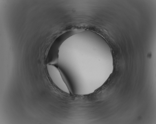 X0000090871345200708241912