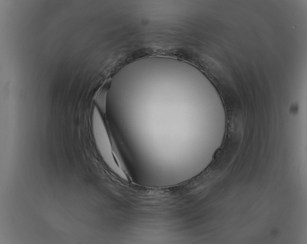 X0000090871346200708241912