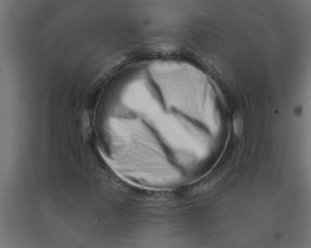 X0000090871347200708241911