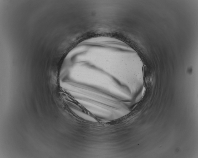 X0000090871348200708241911