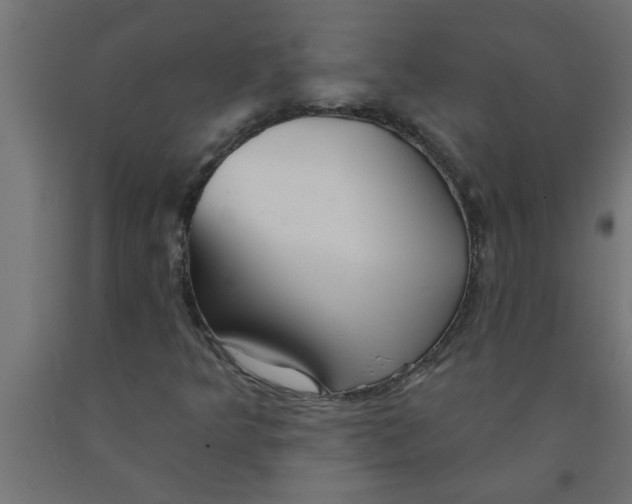 X0000090871349200708241911