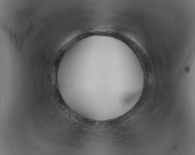 X0000090871350200708241911