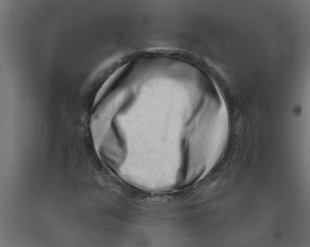 X0000090871351200708241911