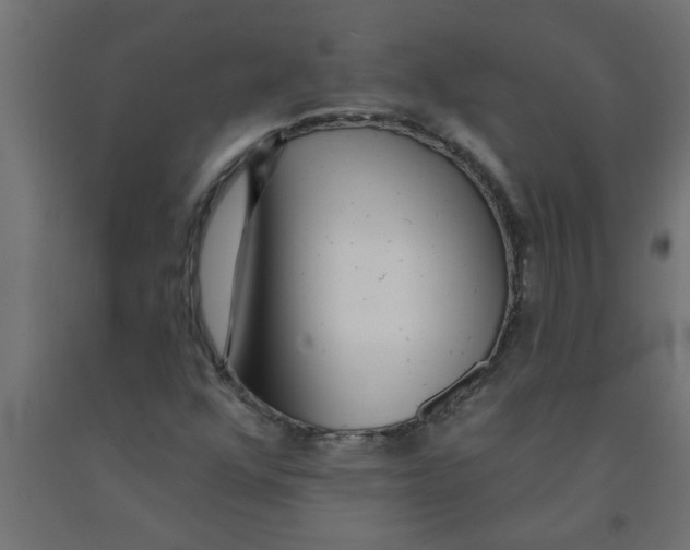 X0000090871352200708241911