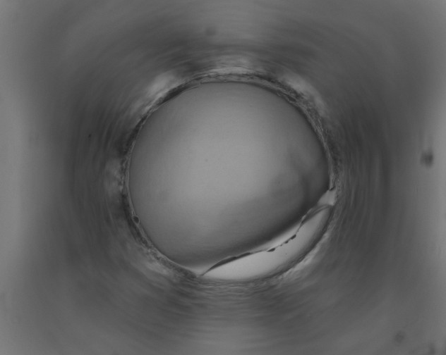 X0000090871353200708241911