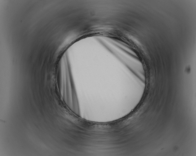 X0000090871354200708241911