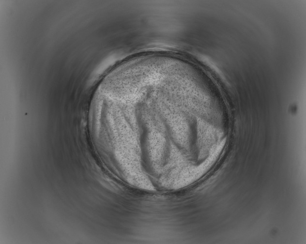 X0000090871355200708241911