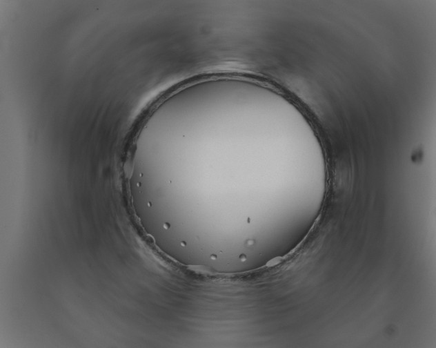 X0000090871356200708241911