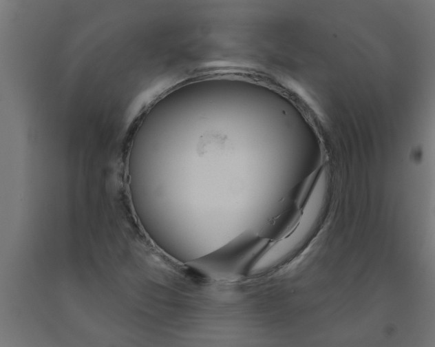 X0000090871357200708241911