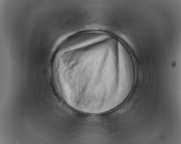 X0000090871358200708241911