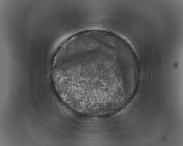 X0000090871359200708241911