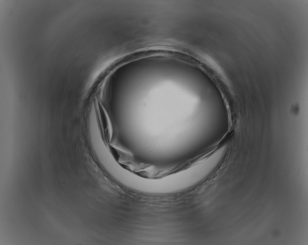 X0000090871360200708241911