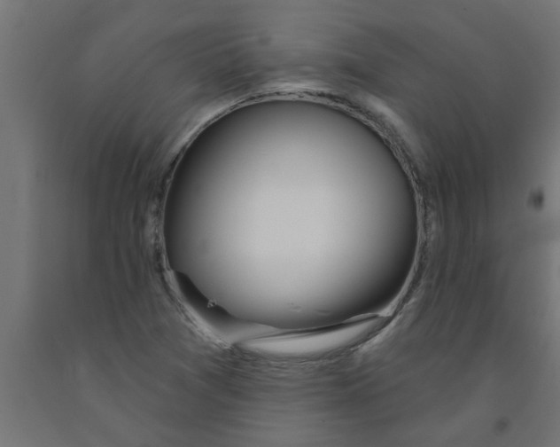 X0000090871361200708241911