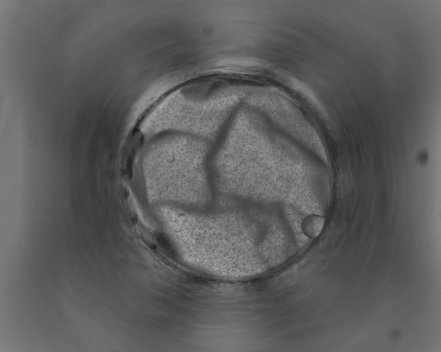 X0000090871362200708241911