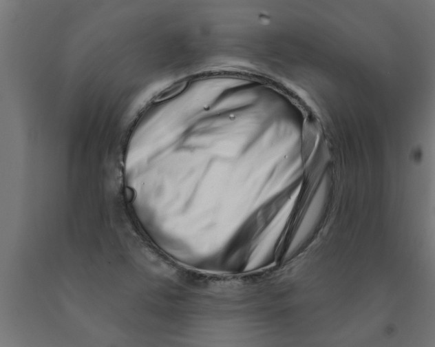 X0000090871363200708241911