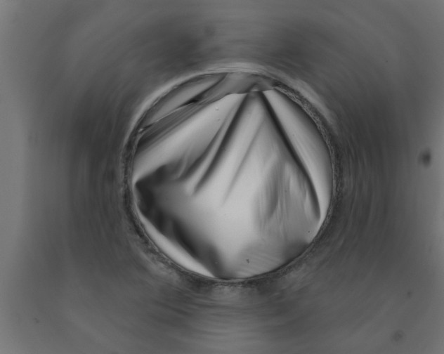 X0000090871364200708241911