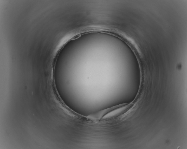 X0000090871365200708241911