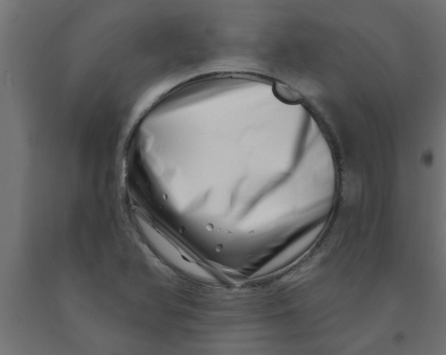 X0000090871366200708241911