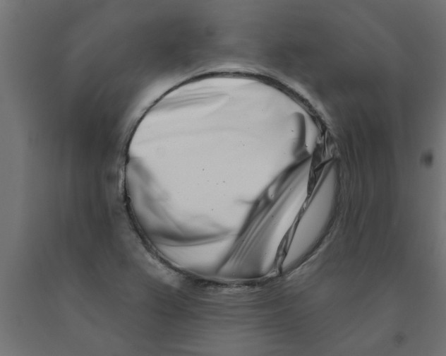 X0000090871367200708241911