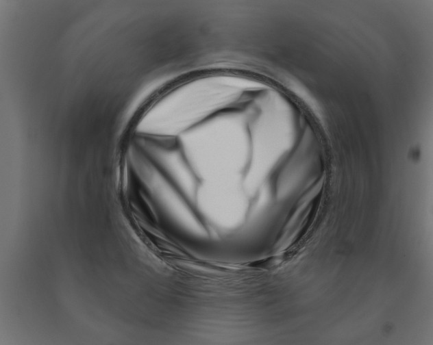 X0000090871368200708241911