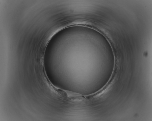 X0000090871369200708241911