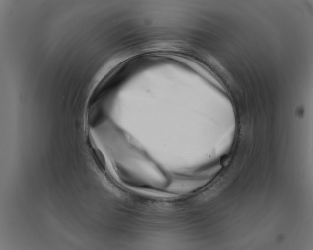 X0000090871370200708241911