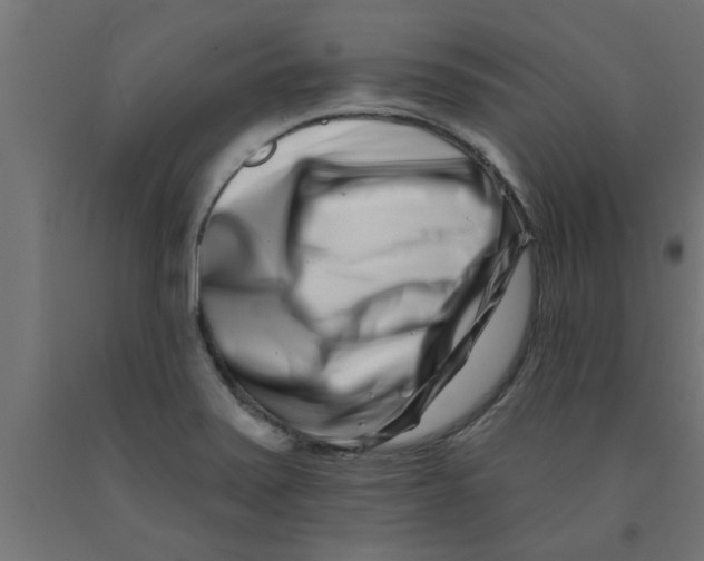 X0000090871371200708241911