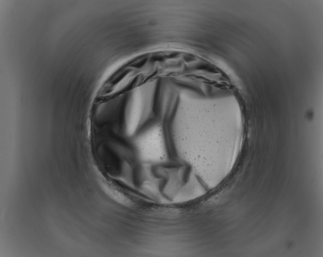 X0000090871372200708241911